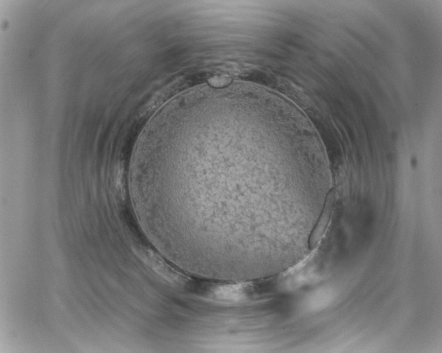 X0000065240178200602171433