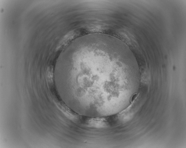 X0000065240179200602171433