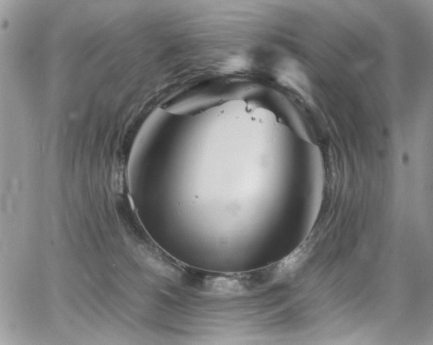 X0000065240180200602171433