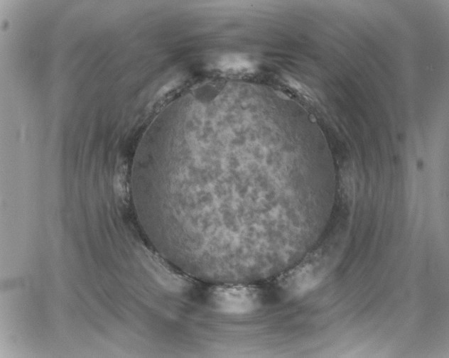 X0000065240181200602171433