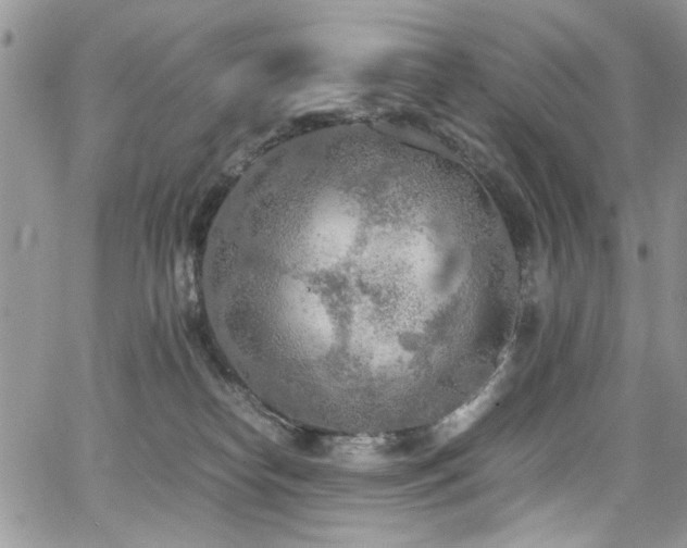 X0000065240182200602171433