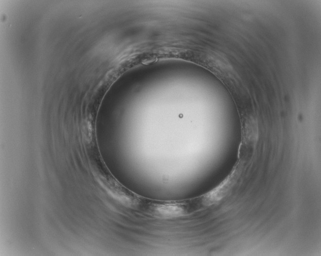 X0000065240183200602171433