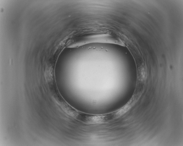 X0000065240184200602171433