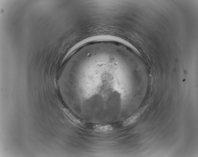 X0000065240185200602171433