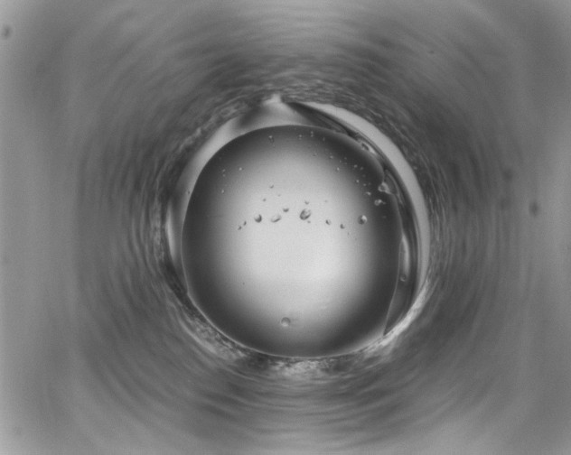 X0000065240186200602171433