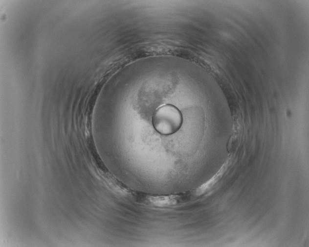 X0000065240187200602171433