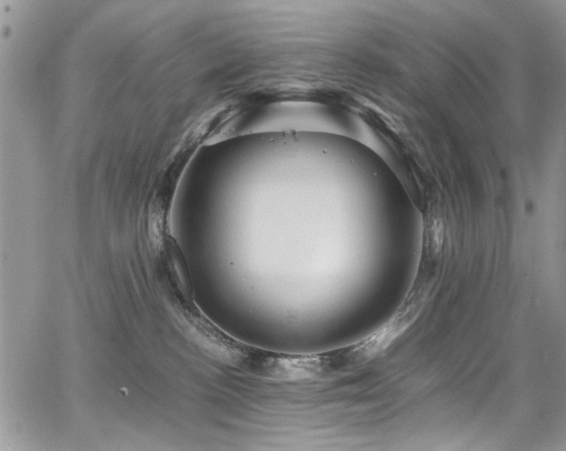 X0000065240188200602171433