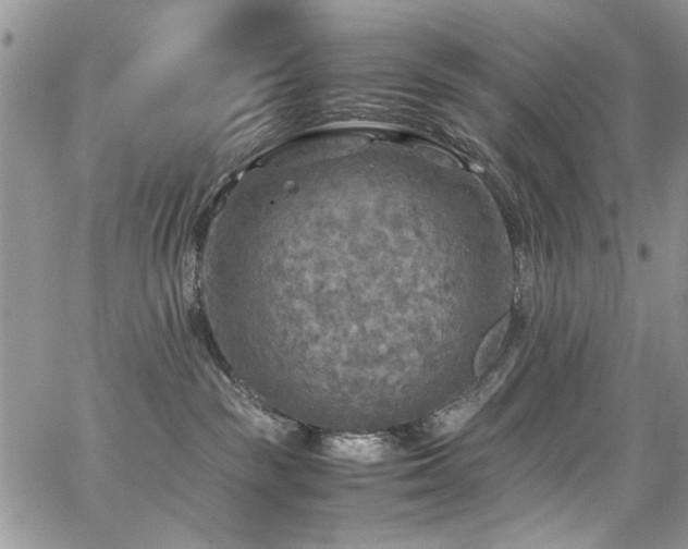 X0000065240189200602171433