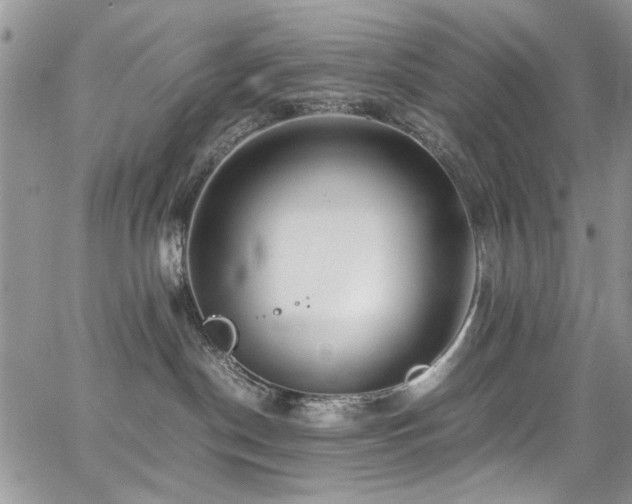 X0000065240190200602171433