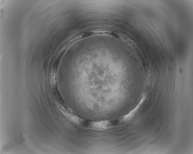 X0000065240191200602171433