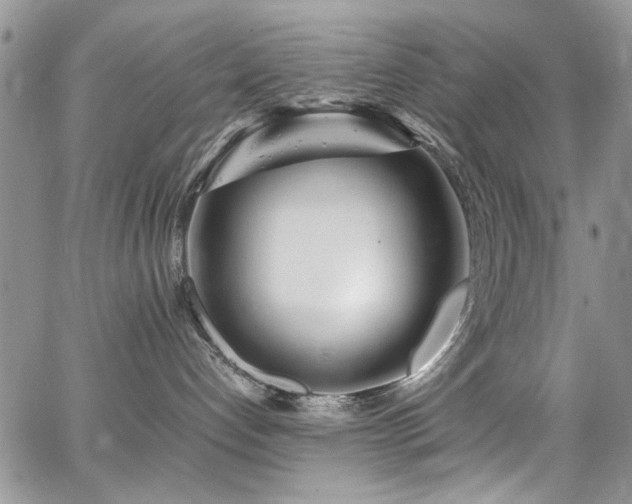 X0000065240192200602171433