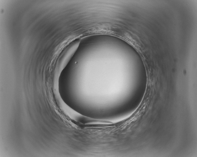 X0000065240193200602171433