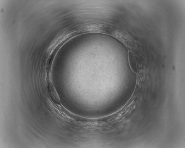 X0000065240194200602171433