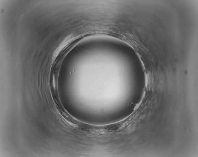 X0000065240195200602171432