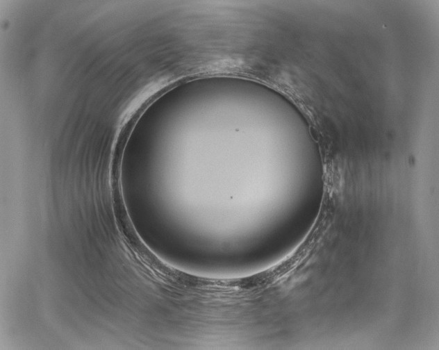 X0000065240196200602171432