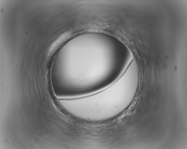 X0000065240197200602171432