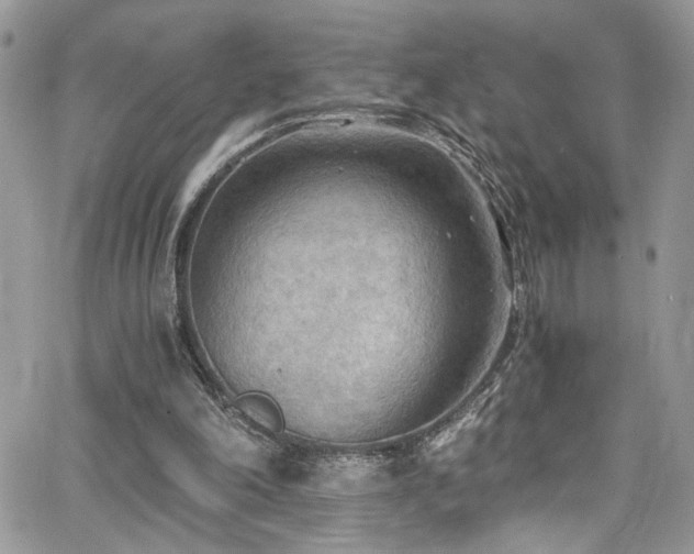 X0000065240198200602171432