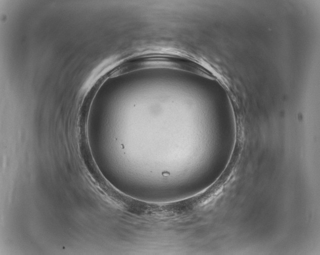 X0000065240199200602171432