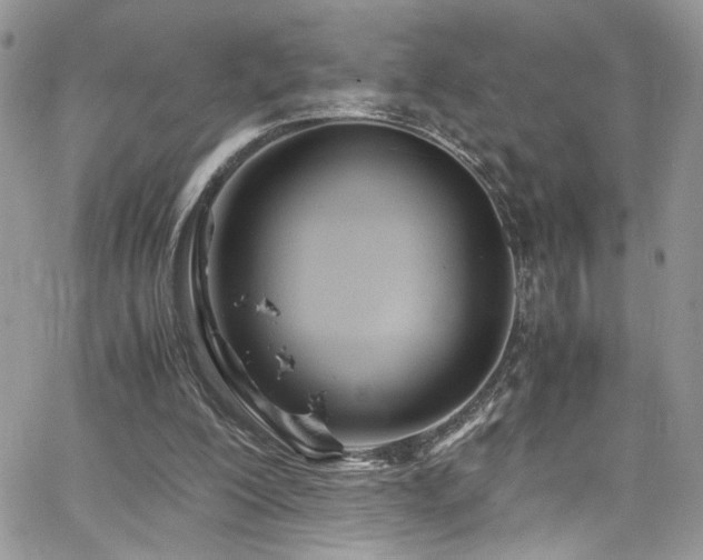 X0000065240200200602171432