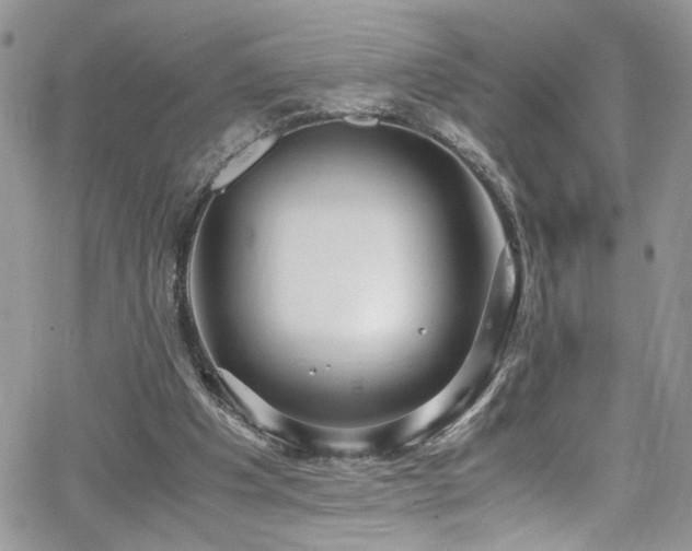 X0000065240201200602171432