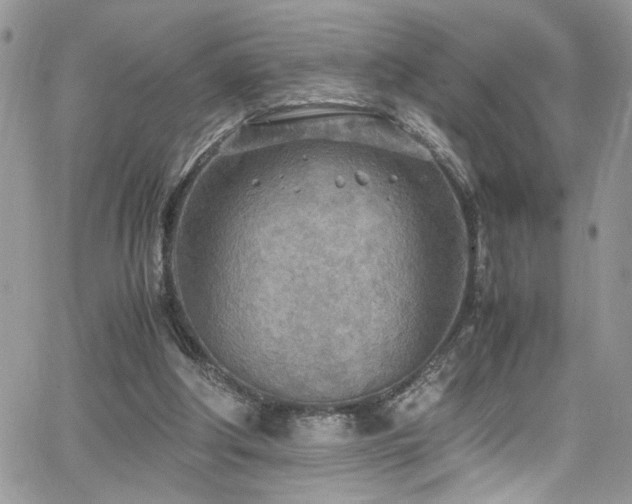 X0000065240202200602171432