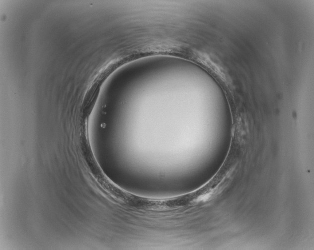 X0000065240203200602171432