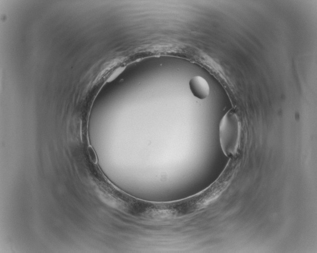 X0000065240205200602171432