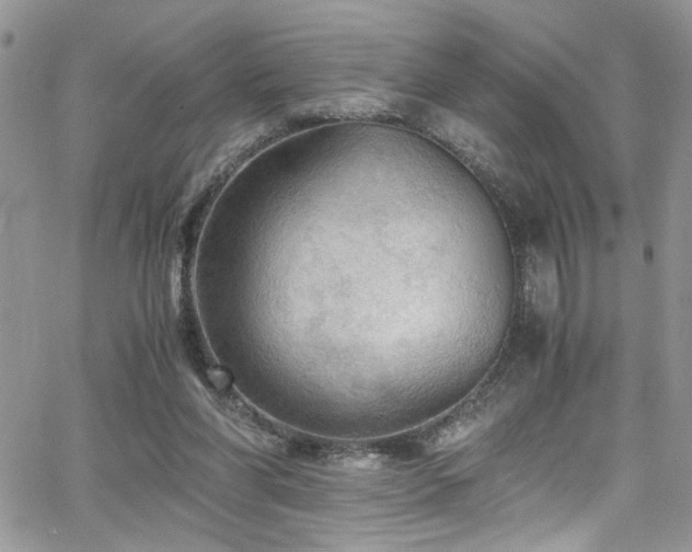 X0000065240206200602171432