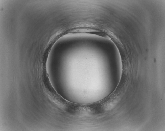 X0000065240207200602171432