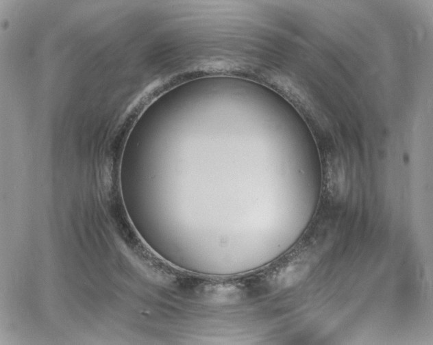 X0000065240208200602171432