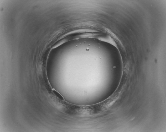 X0000065240209200602171432