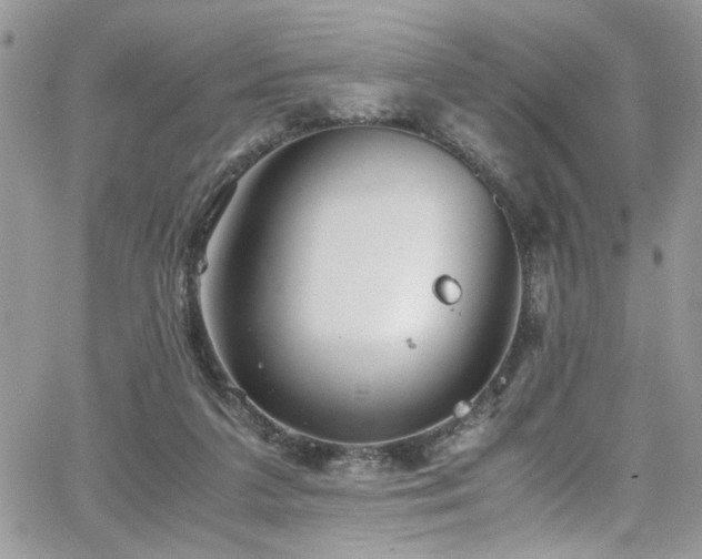 X0000065240211200602171432