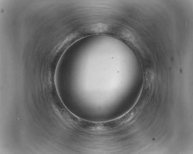 X0000065240212200602171432