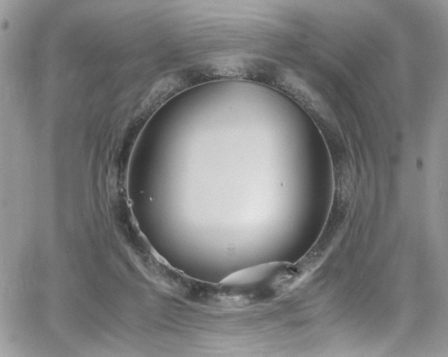 X0000065240213200602171432