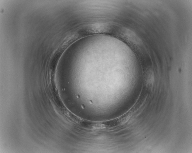 X0000065240214200602171432