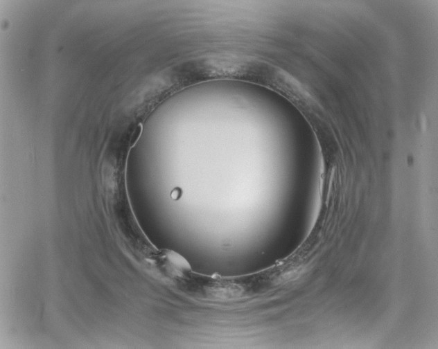 X0000065240215200602171432