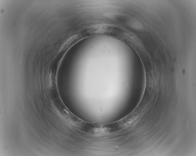 X0000065240216200602171432