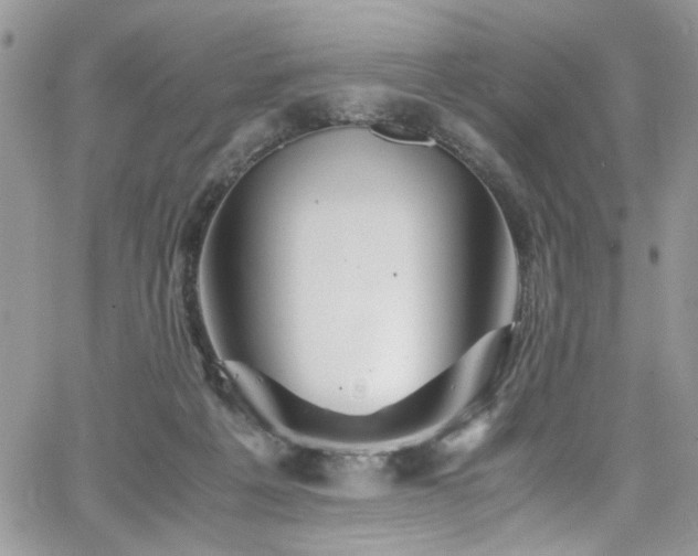 X0000065240217200602171432