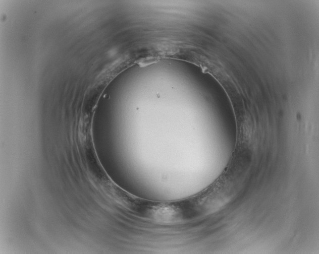 X0000065240218200602171432