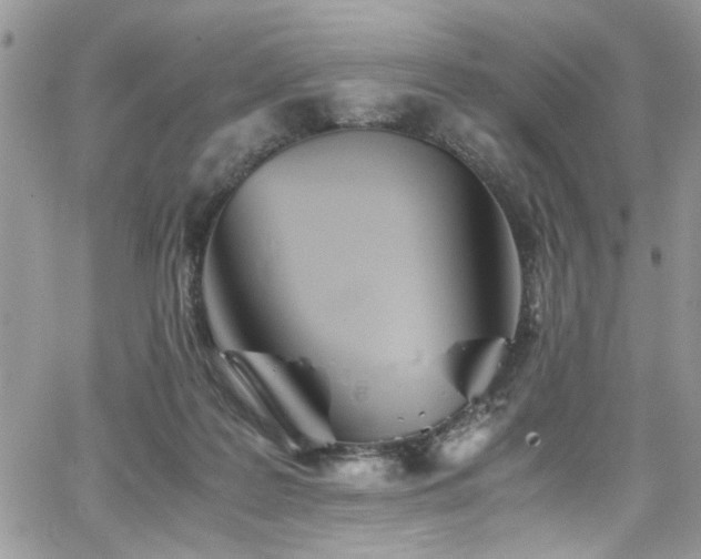 X0000065240219200602171432