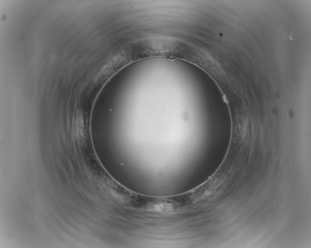 X0000065240220200602171432