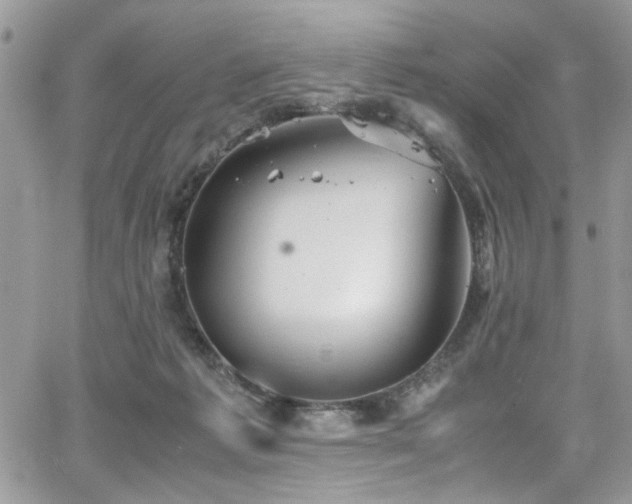 X0000065240221200602171432