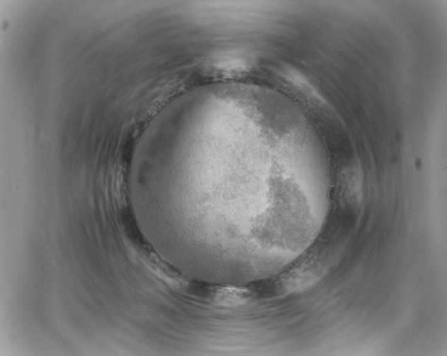 X0000065240222200602171432