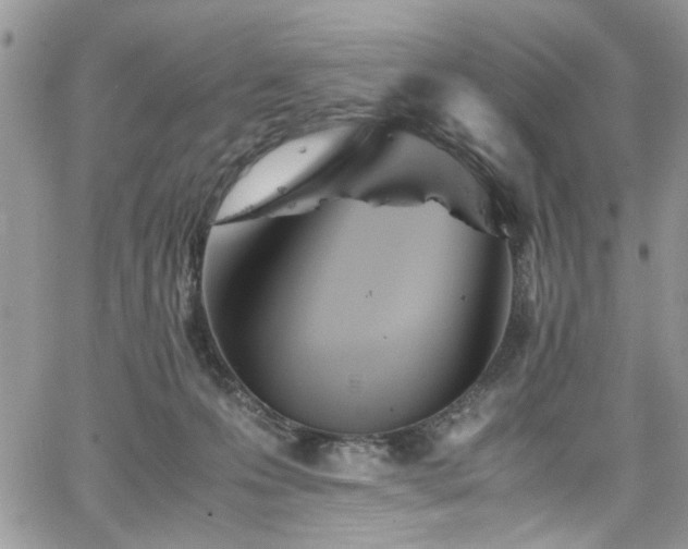 X0000065240223200602171432