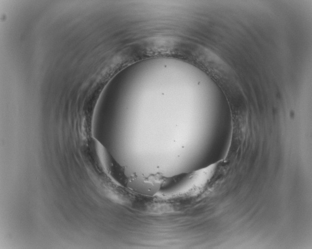 X0000065240224200602171432