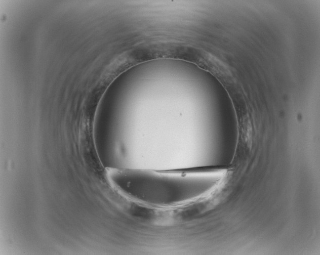 X0000065240225200602171432