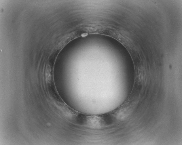 X0000065240226200602171432