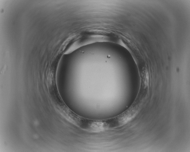 X0000065240227200602171432