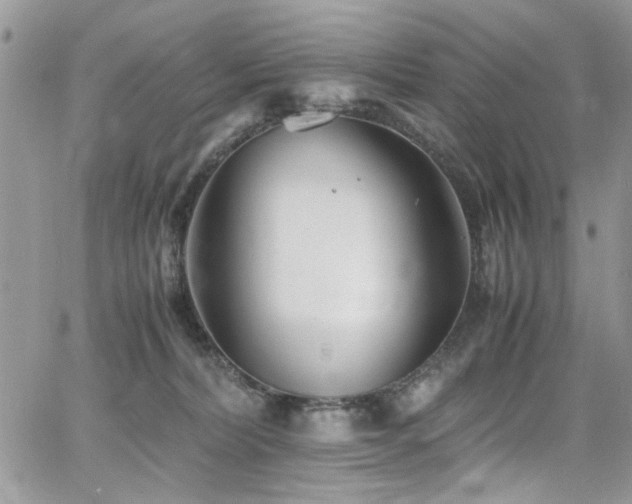 X0000065240228200602171432