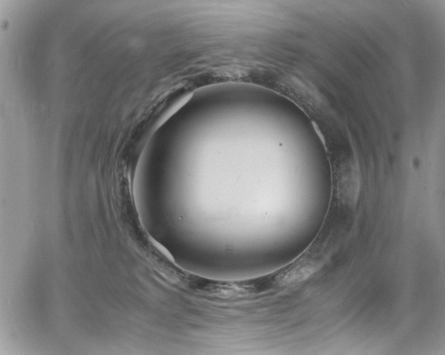 X0000065240229200602171432